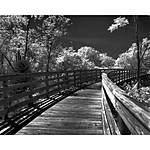 Print What You See: Ways to Print Photos with Martin Bluhm 4