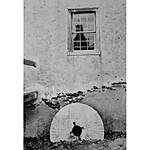 Print What You See: Ways to Print Photos with Martin Bluhm 5