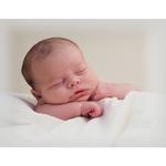 Baby and Kids Portraits 101 with Olympus and Westcott 16