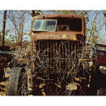 Film Photography with Martin Bluhm 1