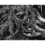 Film Photography with Martin Bluhm 2