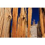 Photographing the Introspective Landscape with Salvatore Vasapolli 1