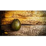 Photoshop for Photographers with Adobe Certified Instructor Blake Taylor 1