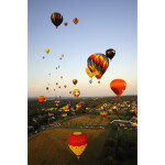 Festival of Ballooning: VIP Registration with Balloon Ride 1