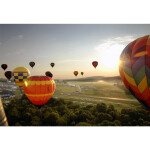 Festival of Ballooning: VIP Registration with Balloon Ride 4