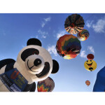 Festival of Ballooning: VIP Registration with Balloon Ride 7