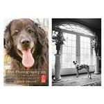 Live Pet Photography Photo Shoot and Lightroom Workflow with Andrew Darlow 4