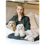 Live Pet Photography Photo Shoot and Lightroom Workflow with Andrew Darlow 11