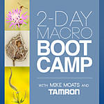 Macro Boot Camp with Mike Moats and Tamron 0