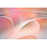 Macro Boot Camp with Mike Moats and Tamron 2