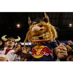 Shoot the New York Red Bulls from an Arena Skybox 10