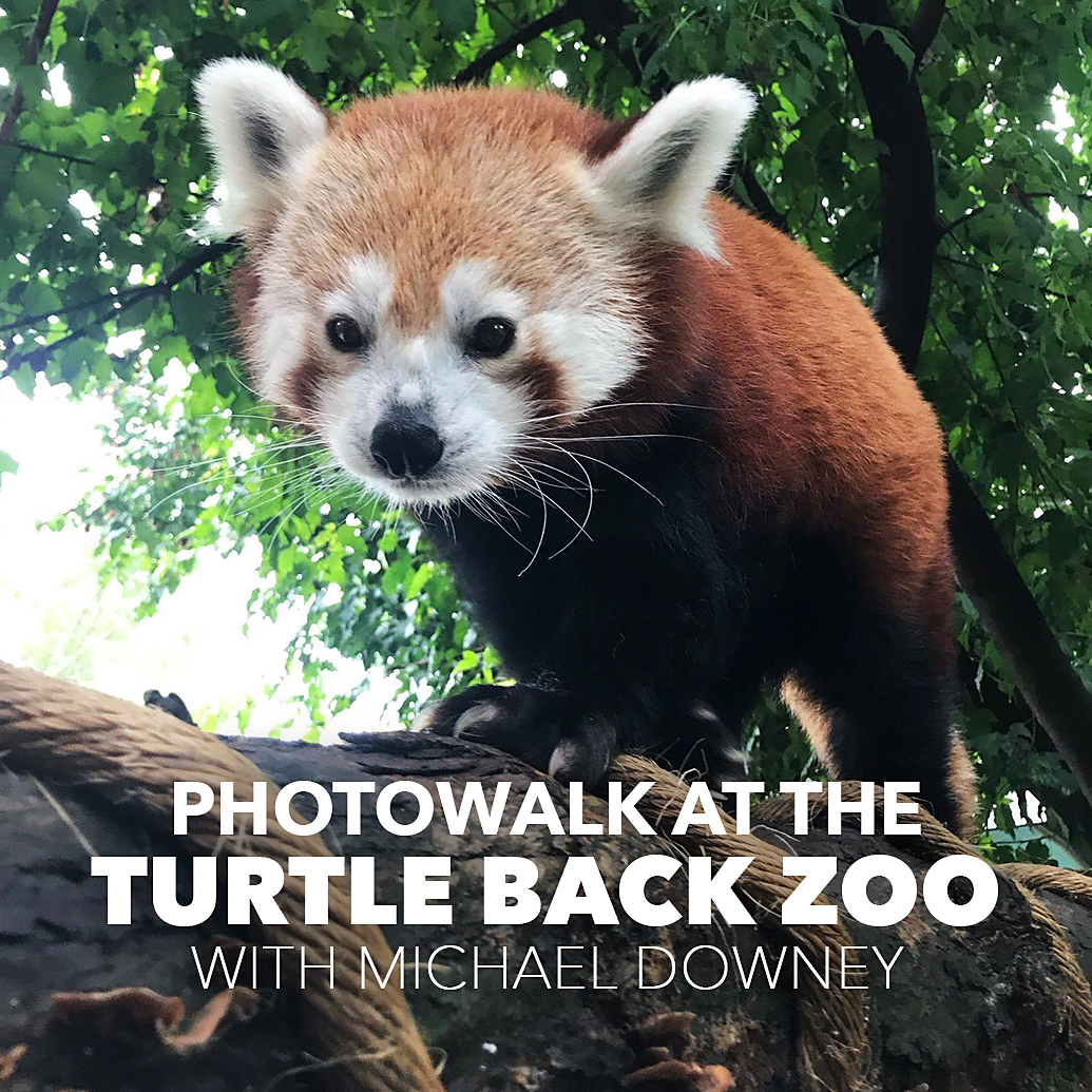 Photowalk at Turtle Back Zoo with Michael Downey