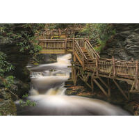 Bushkill Falls Photo Excursion with Michael Downey 1