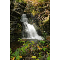 Bushkill Falls Photo Excursion with Michael Downey 2