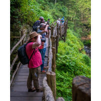 Bushkill Falls Photo Excursion with Michael Downey 5