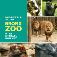 Photowalk at the Bronx Zoo with Michael Downey 0