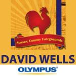Seminar: How to Capture Great Festival  and  Event Photos with David Wells 0