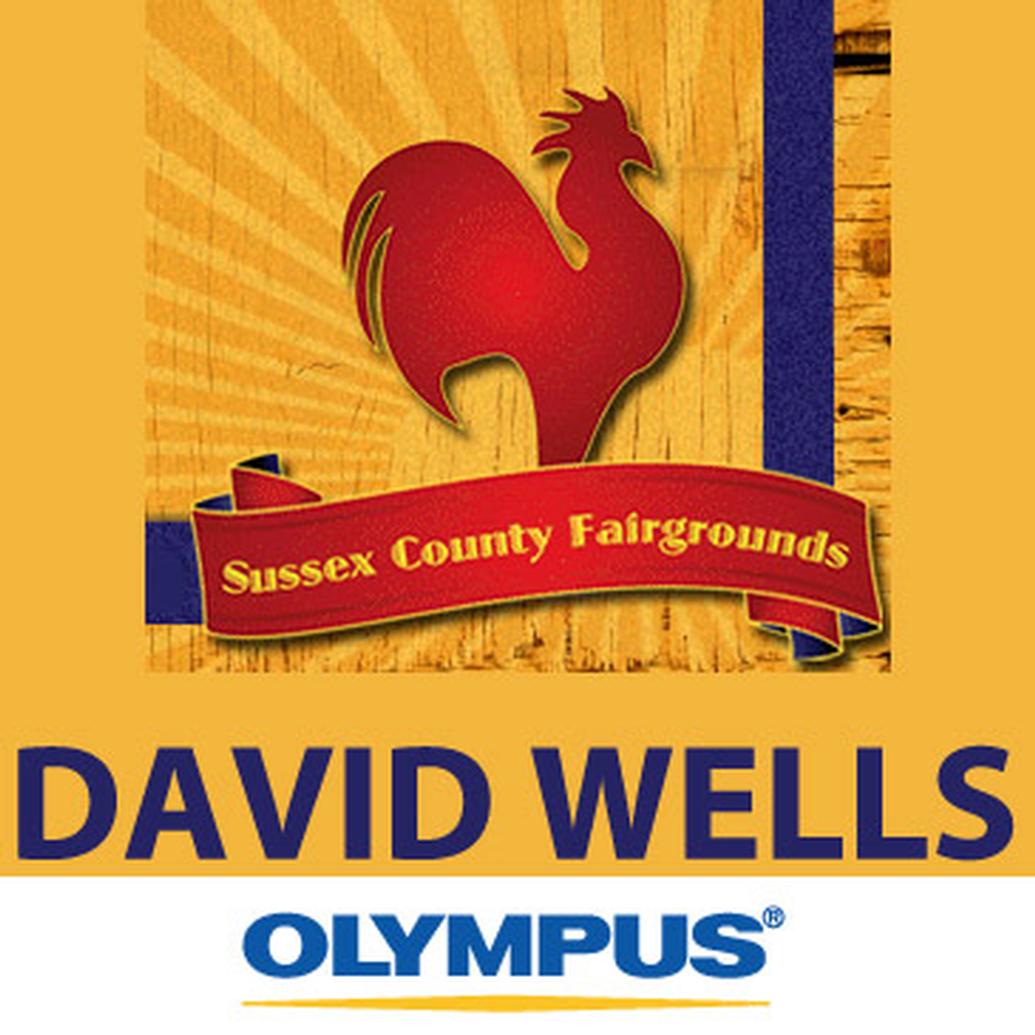 Seminar: How to Capture Great Festival and Event Photos with David Wells
