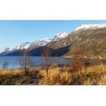 Chasing the Northern Lights Photo Adventure 6