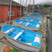 Mystic Seaport Museum and Aquarium Weekend Meetup with Michael Downey 1