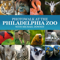 Photowalk at the Philadelphia Zoo 0