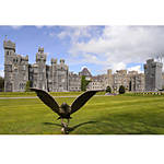 Photographing Ireland, The Emerald Isle 4