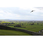 Photographing Ireland, The Emerald Isle 8
