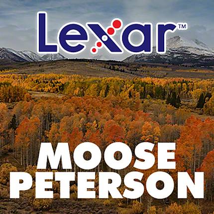 Wanderings of a Wildlife Photographer with Moose Peterson and LEXAR