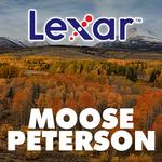 Wanderings of a Wildlife Photographer with Moose Peterson and LEXAR 0