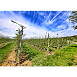 Spend the Day at Donaldson Farms with Lumix Luminary Rick Gerrity 4