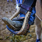 Spend the Day at Donaldson Farms with Lumix Luminary Rick Gerrity 5