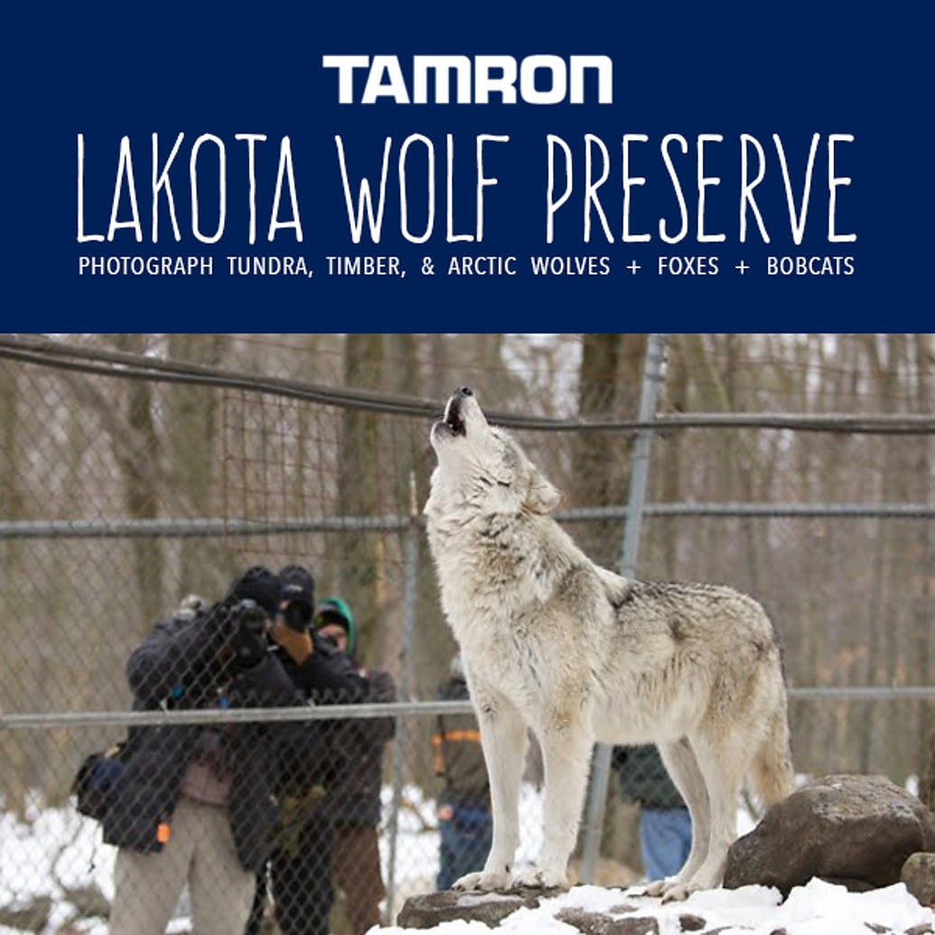 Lakota Wolf Preserve Workshop with Tamron