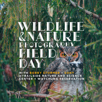 Wildlife and Nature Photography Field Day with Bobby Stormer (Sony)