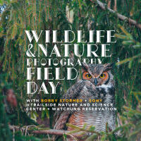 Wildlife and Nature Photography Field Day with Bobby Stormer (Sony) 0