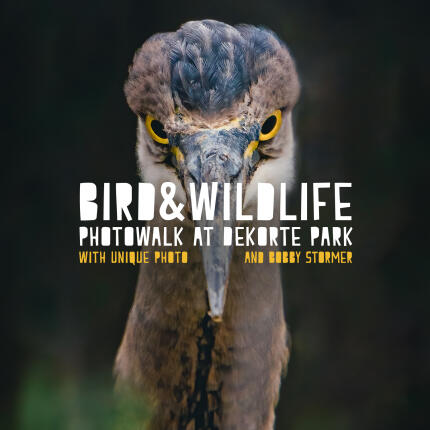 Bird and Wildlife Photowalk at DeKorte Park with Bobby Stormer (Sony)