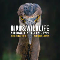 Bird and Wildlife Photowalk at DeKorte Park with Bobby Stormer (Sony) 0
