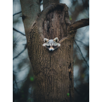 Bird and Wildlife Photowalk at DeKorte Park with Bobby Stormer (Sony) 10