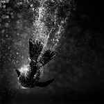 Advanced Photography Mentoring with Kristi Odom 1