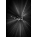 Advanced Photography Mentoring with Kristi Odom 3