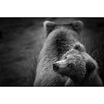 Advanced Photography Mentoring with Kristi Odom 6