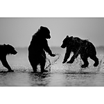 Advanced Photography Mentoring with Kristi Odom 10