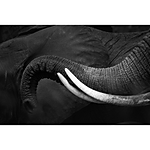 Advanced Photography Mentoring with Kristi Odom 13