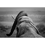 Advanced Photography Mentoring with Kristi Odom 14