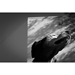 Advanced Photography Mentoring with Kristi Odom 16