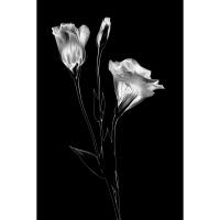 EXPO: Portfolio Reviews with Padma Inguva 9