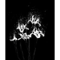 EXPO: Portfolio Reviews with Padma Inguva 10