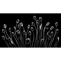 EXPO: Portfolio Reviews with Padma Inguva 11