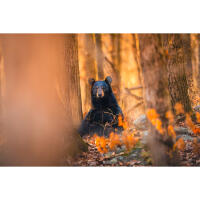 EXPO: Portfolio Reviews with Bobby Stormer 3
