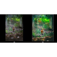 EXPO: Lightroom Photo Editing for Nature and Wildlife with Bobby Stormer 2