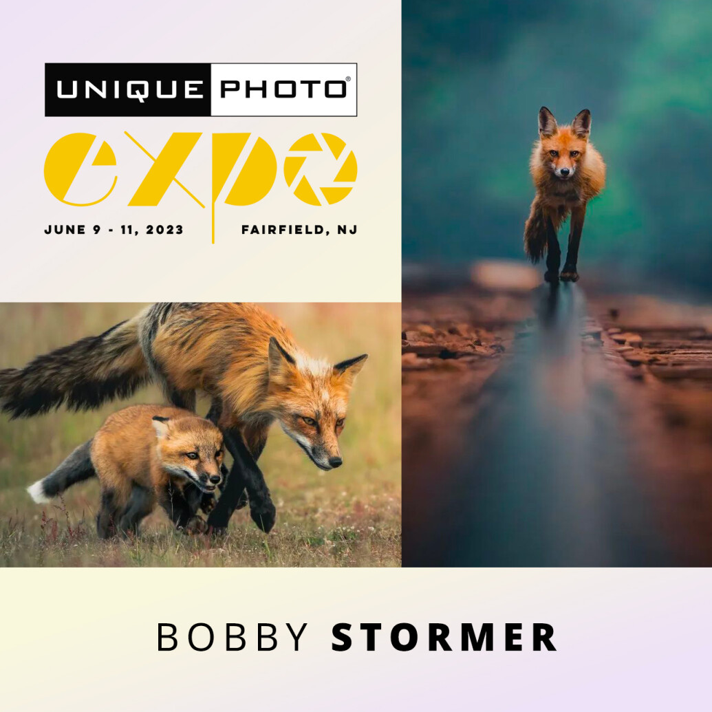 EXPO: Photographing Foxes with Bobby Stormer